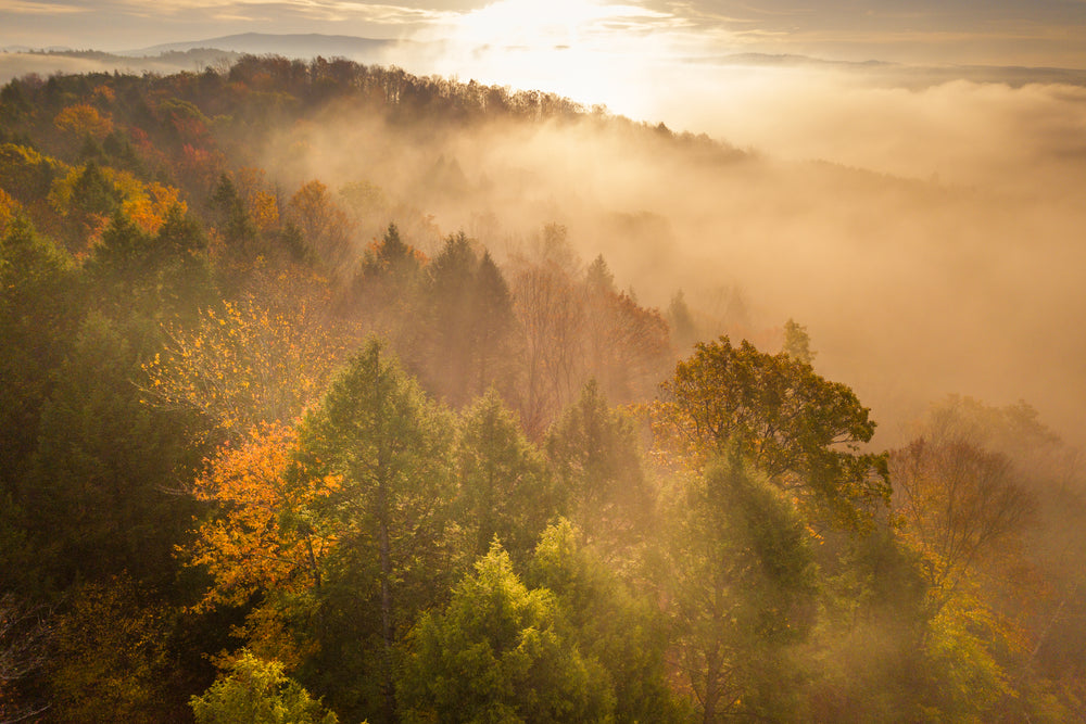 Fall in Vermont
